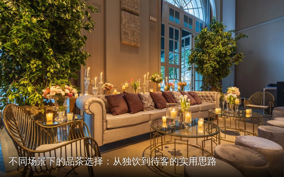 不同场景下的品茶选择：从独饮到待客的实用思路｜先定场景，再定茶与器｜先定场景，再定茶与器